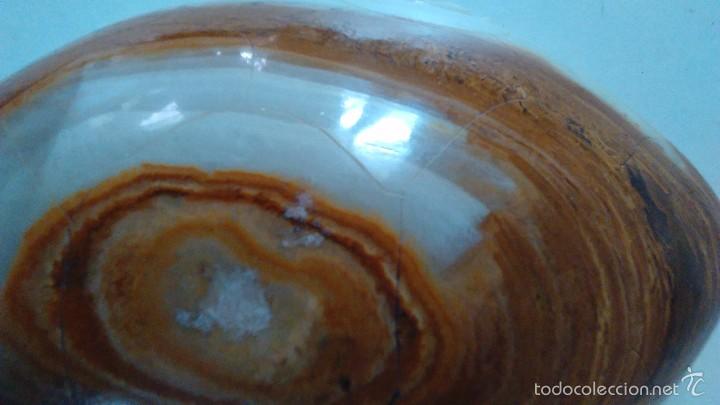 Coleccionismo de minerales: Tortuga de &aacute;gata - Foto 9
