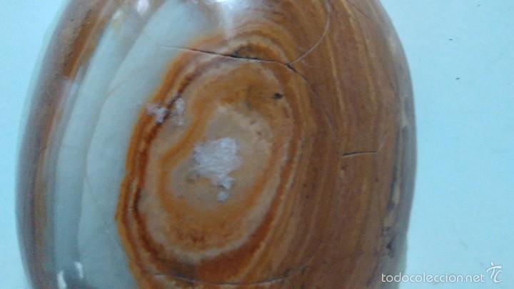 Coleccionismo de minerales: Tortuga de &aacute;gata - Foto 10