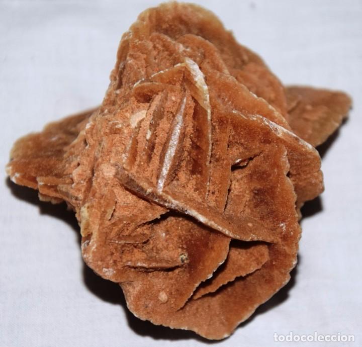 Coleccionismo de minerales: Rosa del desierto - Foto 1