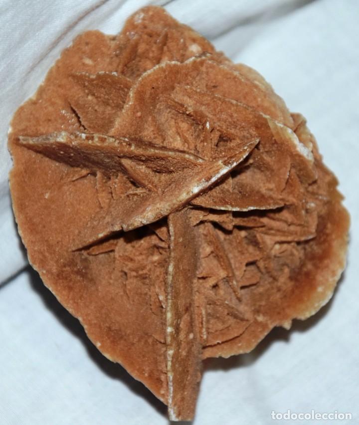Coleccionismo de minerales: Rosa del desierto - Foto 2