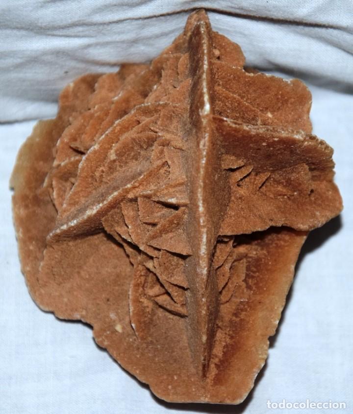 Coleccionismo de minerales: Rosa del desierto - Foto 3