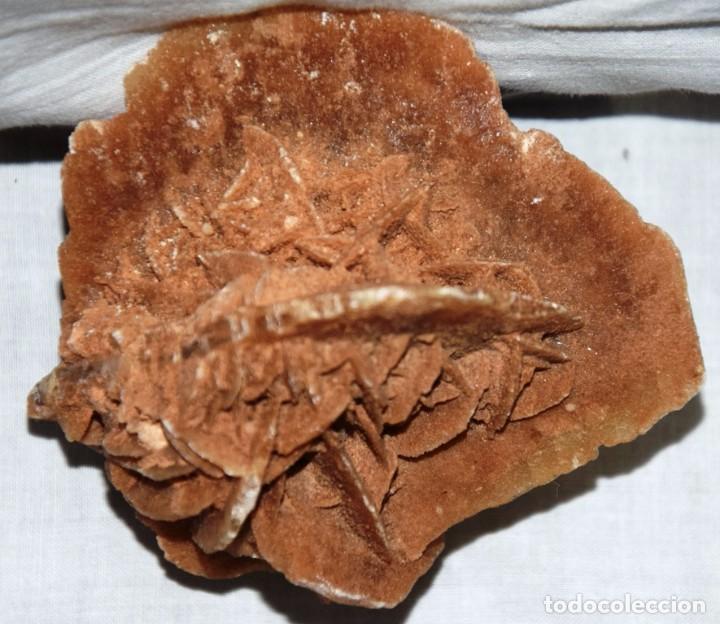 Coleccionismo de minerales: Rosa del desierto - Foto 4