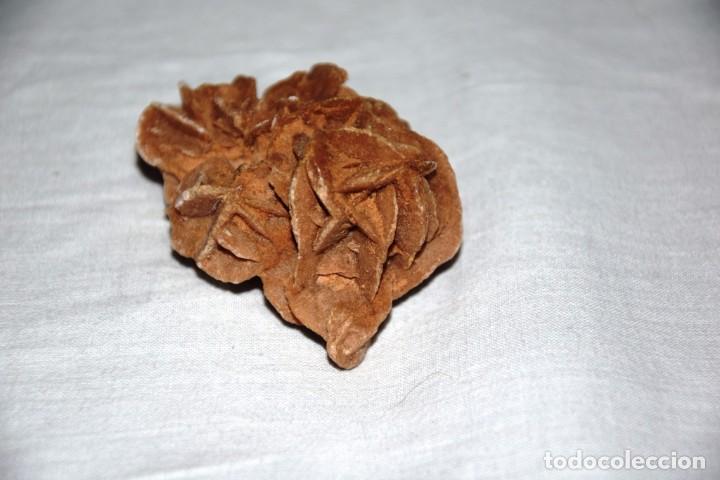 Coleccionismo de minerales: Rosa del desierto - Foto 3