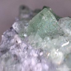 Coleccionismo de minerales: FLUORITA VERDE EN CRISTALES DE PAPIOL, PEDRERA, MINA BERTA, BARCELONA. Lote 72771935