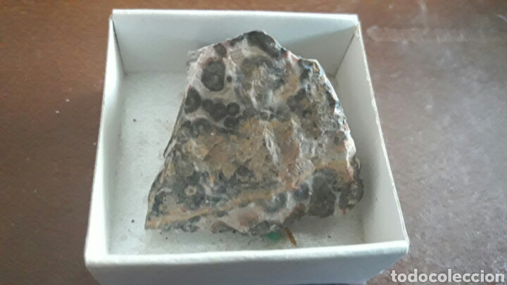 Coleccionismo de minerales: Jaspe Leopardo Mexico - Foto 1