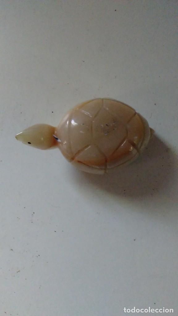 Coleccionismo de minerales: Tortuga de &aacute;gata - Foto 1