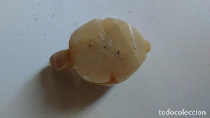 Coleccionismo de minerales: Tortuga de &aacute;gata - Foto 3