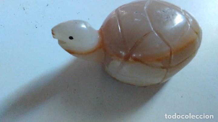 Coleccionismo de minerales: Tortuga de &aacute;gata - Foto 5