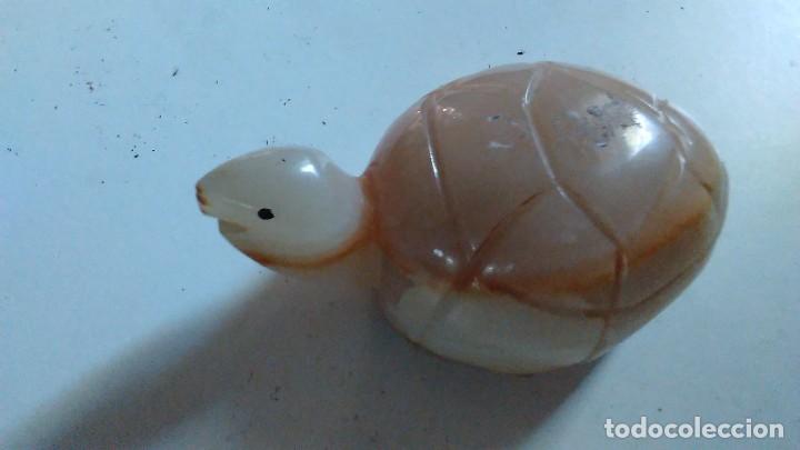 Coleccionismo de minerales: Tortuga de &aacute;gata - Foto 6