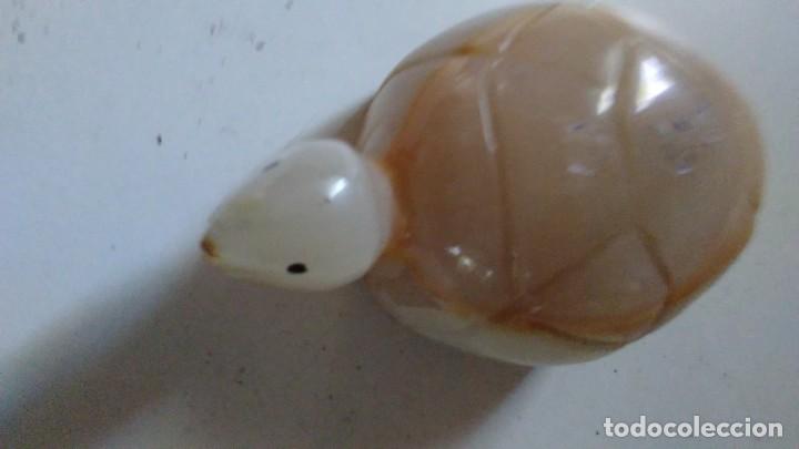 Coleccionismo de minerales: Tortuga de &aacute;gata - Foto 8