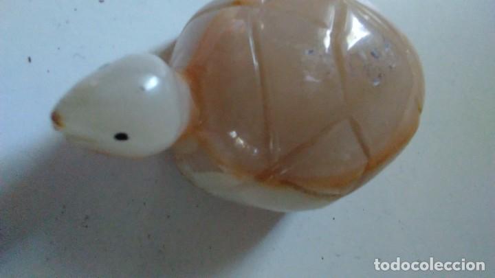 Coleccionismo de minerales: Tortuga de &aacute;gata - Foto 9