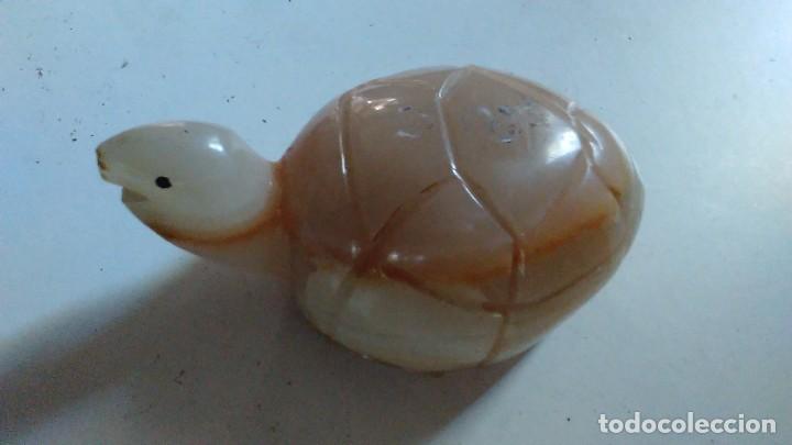 Coleccionismo de minerales: Tortuga de &aacute;gata - Foto 10