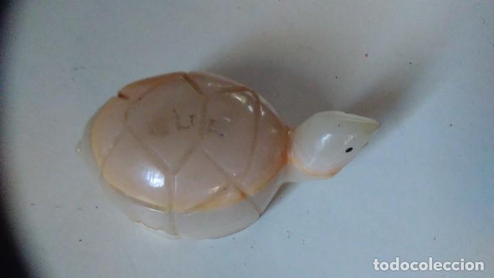 Coleccionismo de minerales: Tortuga de &aacute;gata - Foto 11