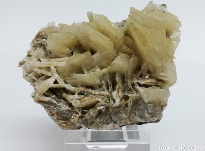 Coleccionismo de minerales: BARITINA - MINERAL - Foto 1