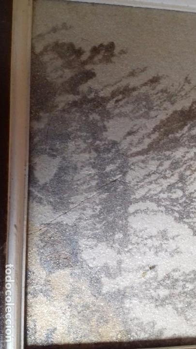 Coleccionismo de minerales: Dendrita enmarcada. - Foto 2