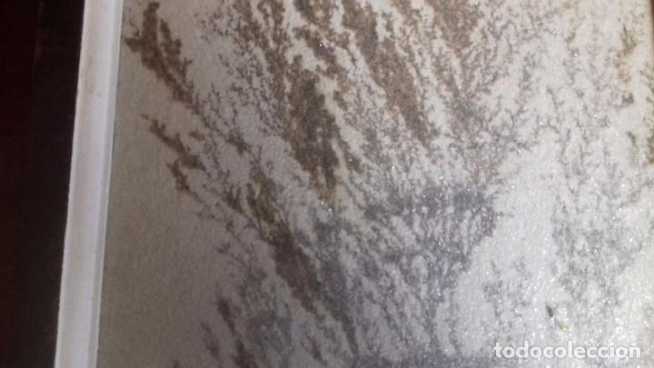 Coleccionismo de minerales: Dendrita enmarcada. - Foto 4