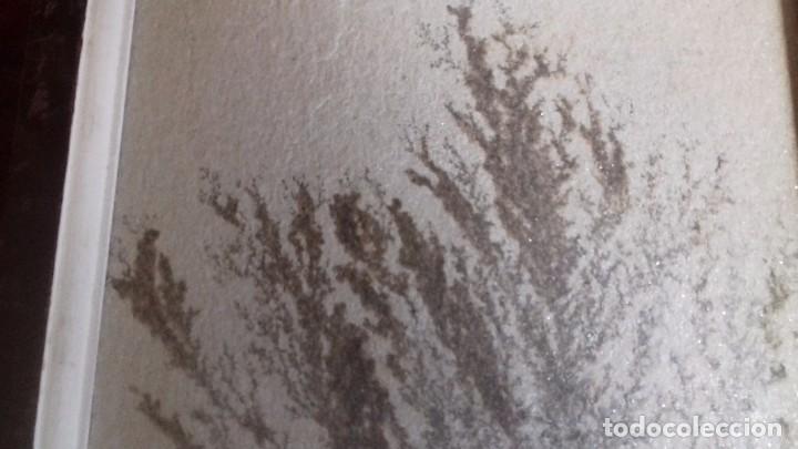 Coleccionismo de minerales: Dendrita enmarcada. - Foto 5