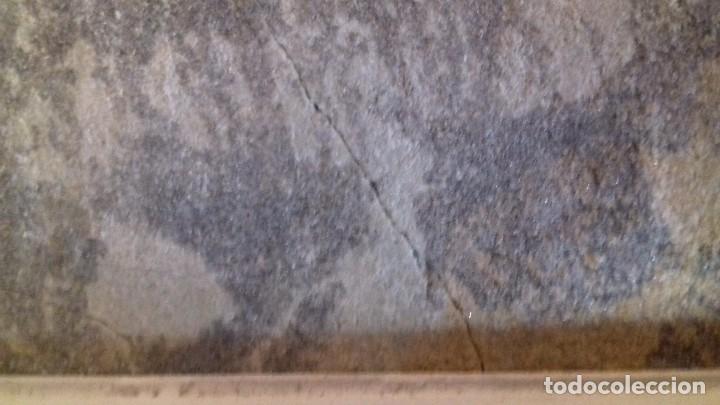 Coleccionismo de minerales: Dendrita enmarcada. - Foto 11