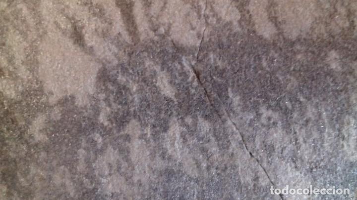 Coleccionismo de minerales: Dendrita enmarcada. - Foto 12