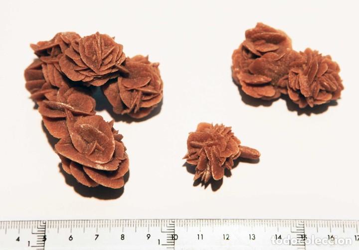 Coleccionismo de minerales: 3 rosas del desierto - Foto 1