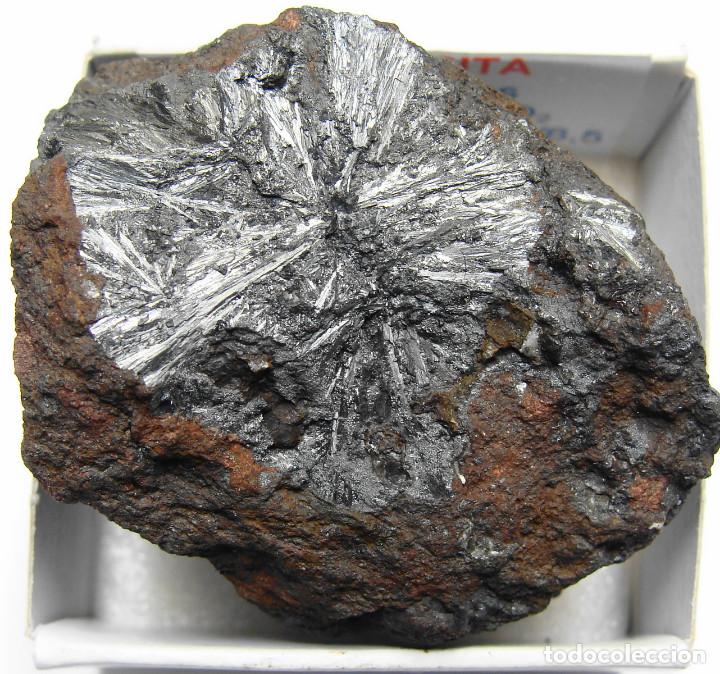 Coleccionismo de minerales: PIROLUSITA - Foto 1 - 115532535