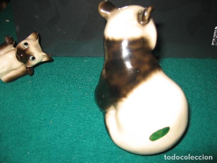 Coleccionismo de minerales: GATO Y OSO - Foto 6