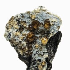 Coleccionismo de minerales: HESSONITA EXTRAORDINARIO FRAGMENTO DE 5X6CM. EN SOPORTE DE EXHIBICIÓN