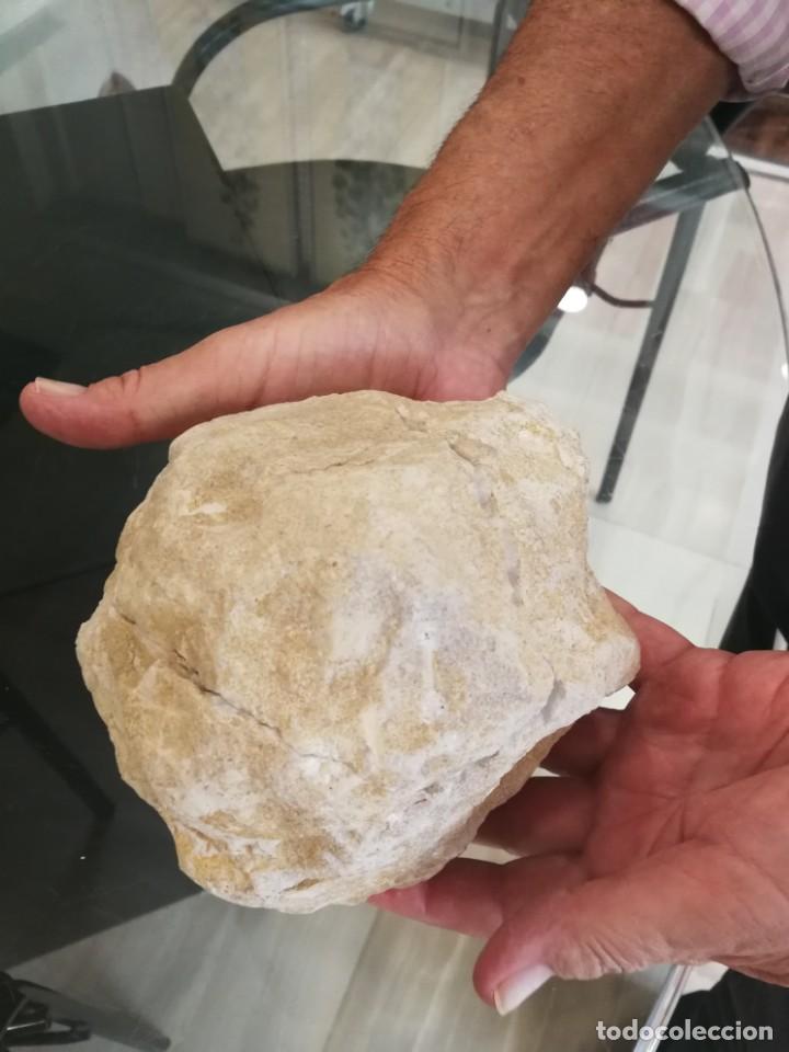 Coleccionismo de minerales: GEODA - Foto 2