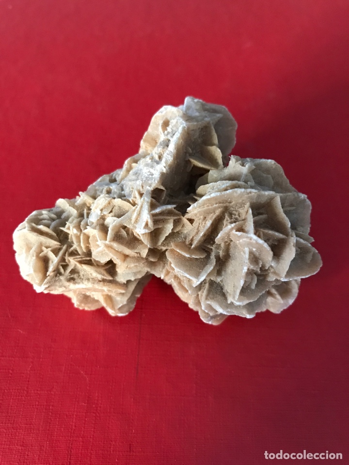 Coleccionismo de minerales: Rosa del desierto - Foto 1