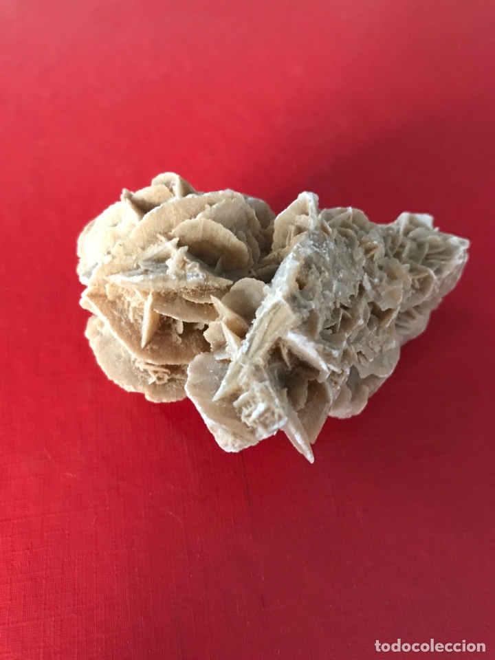 Coleccionismo de minerales: Rosa del desierto - Foto 2