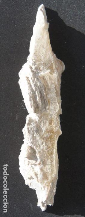 Coleccionismo de minerales: Mineral: Yeso &ldquo;Punta de Flecha&rdquo; - Foto 2