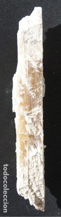 Coleccionismo de minerales: Mineral: Yeso &ldquo;Punta de Flecha&rdquo; - Foto 3