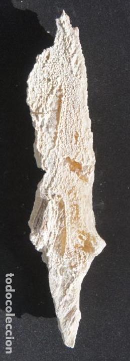 Coleccionismo de minerales: Mineral: Yeso &ldquo;Punta de Flecha&rdquo; - Foto 4