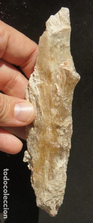 Coleccionismo de minerales: Mineral: Yeso &ldquo;Punta de Flecha&rdquo; - Foto 5