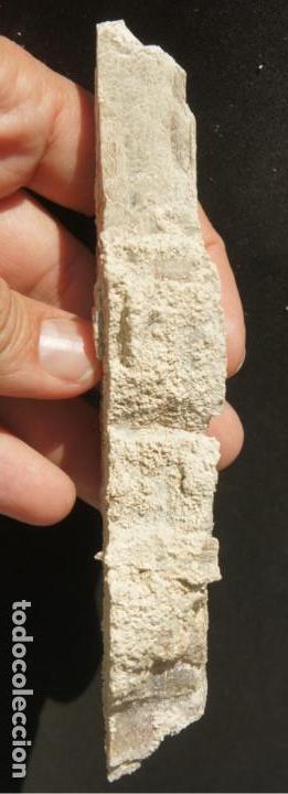 Coleccionismo de minerales: Mineral: Yeso &ldquo;Punta de Flecha&rdquo; - Foto 6