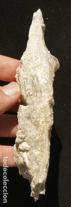 Coleccionismo de minerales: Mineral: Yeso &ldquo;Punta de Flecha&rdquo; - Foto 7