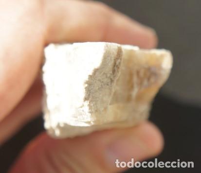 Coleccionismo de minerales: Mineral: Yeso &ldquo;Punta de Flecha&rdquo; - Foto 8