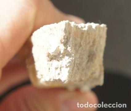 Coleccionismo de minerales: Mineral: Yeso &ldquo;Punta de Flecha&rdquo; - Foto 9