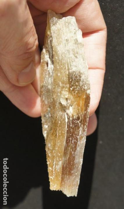 Coleccionismo de minerales: Mineral: Yeso &ldquo;Punta de Flecha&rdquo; - Foto 5