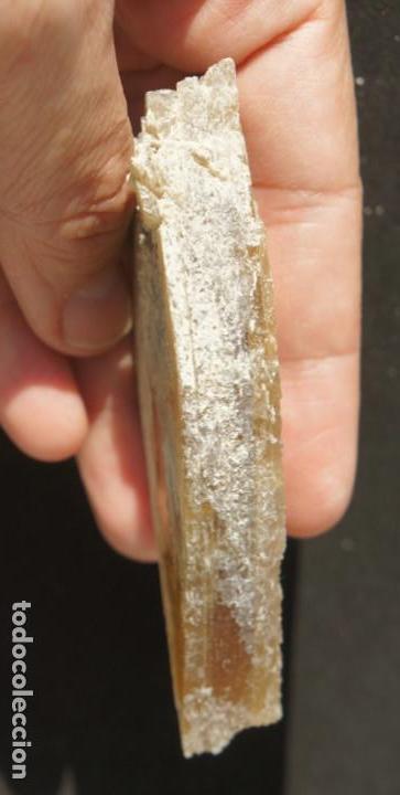 Coleccionismo de minerales: Mineral: Yeso &ldquo;Punta de Flecha&rdquo; - Foto 7