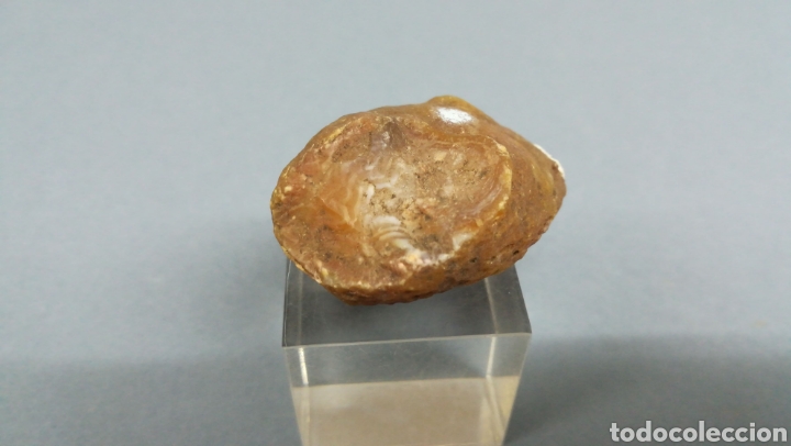 Coleccionismo de minerales: CALCEDONIA (Agata) - MINERAL - Foto 2