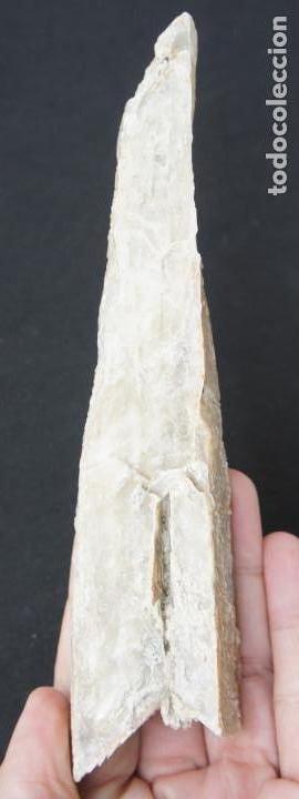 Coleccionismo de minerales: Mineral: Yeso &ldquo;Punta de Flecha&rdquo; - Foto 7