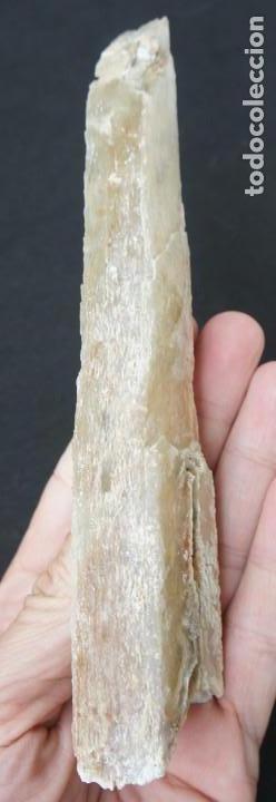 Coleccionismo de minerales: Mineral: Yeso &ldquo;Punta de Flecha&rdquo; - Foto 8