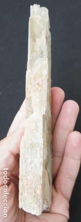Coleccionismo de minerales: Mineral: Yeso &ldquo;Punta de Flecha&rdquo; - Foto 10