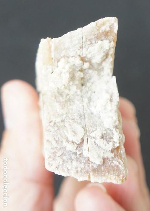 Coleccionismo de minerales: Mineral: Yeso &ldquo;Punta de Flecha&rdquo; - Foto 11