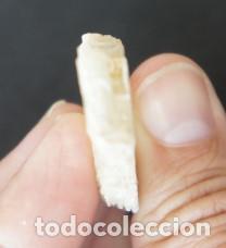 Coleccionismo de minerales: Mineral: Yeso &ldquo;Punta de Flecha&rdquo; - Foto 8