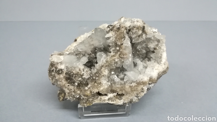 1960ca - antigua coleccion de 25 minerales en c - Compra venta en  todocoleccion