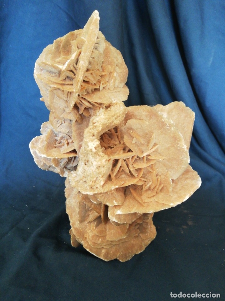 Coleccionismo de minerales: ROSA DEL DESIERTO - Foto 7