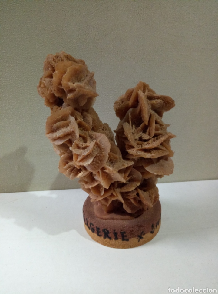 Coleccionismo de minerales: Rosa del desierto Argelia - Foto 2