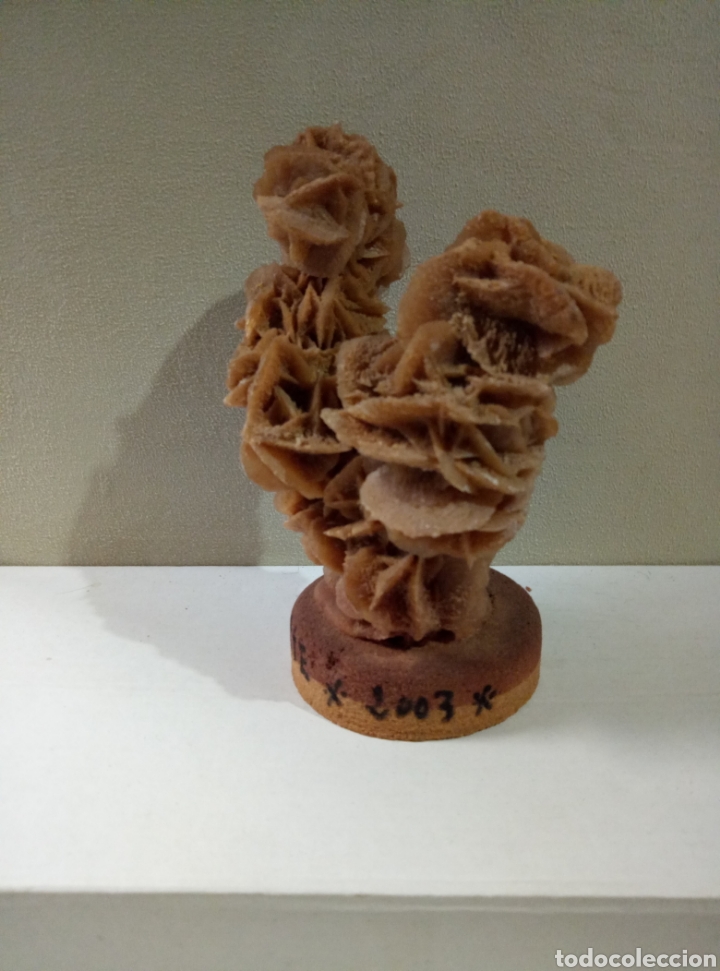 Coleccionismo de minerales: Rosa del desierto Argelia - Foto 3